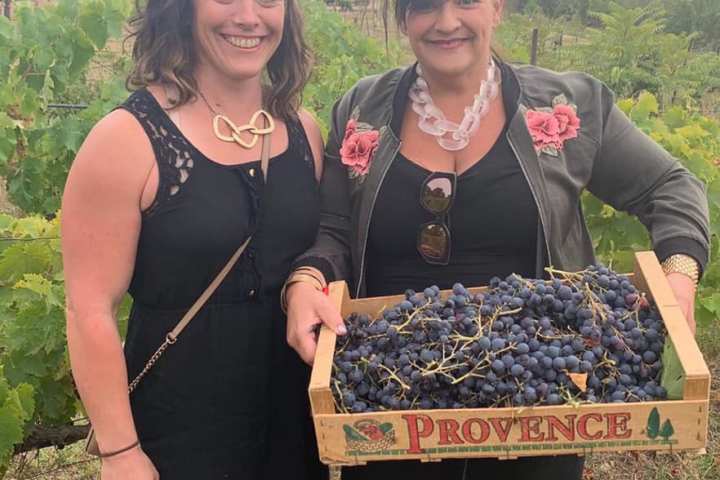 provence grape picking tour
