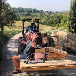 provence grape picking tour