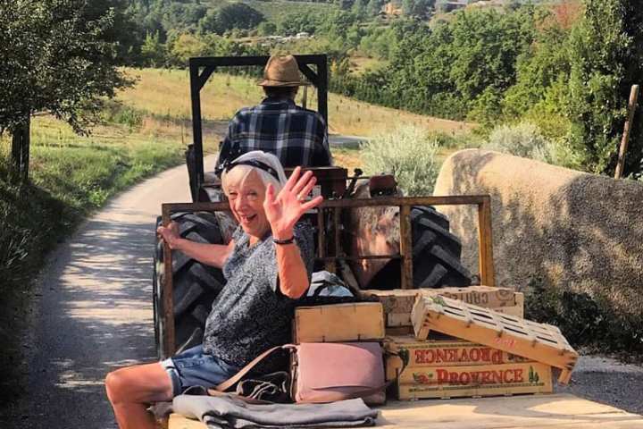 provence grape picking tour