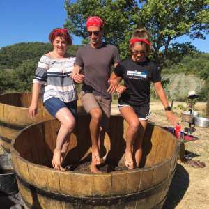 provence grape picking tour