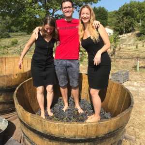 provence grape picking tour