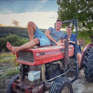 provence grape picking tour