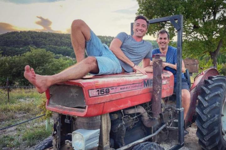 provence grape picking tour