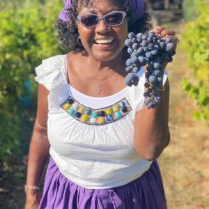 provence grape picking tour