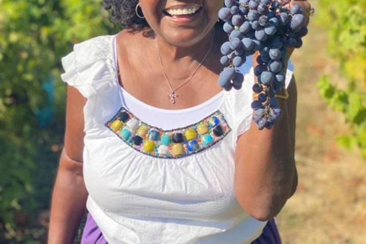 provence grape picking tour