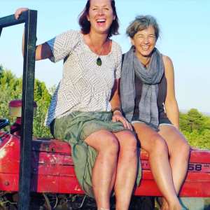 provence grape picking tour