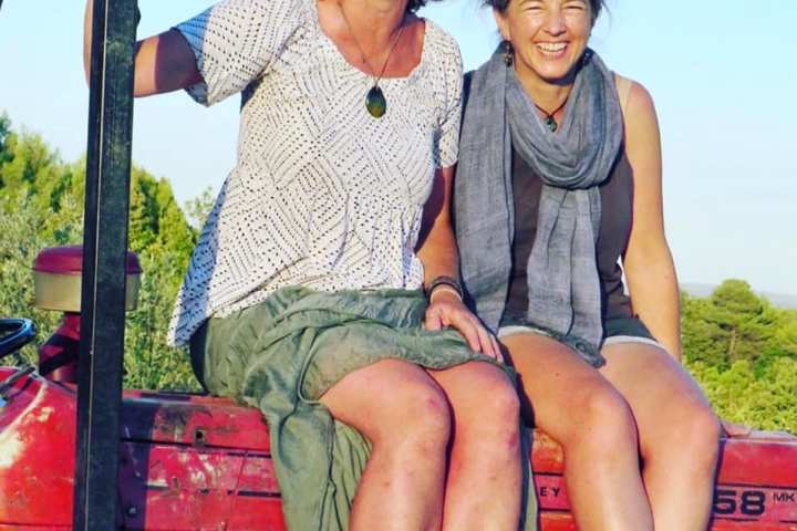 provence grape picking tour