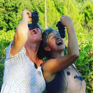provence grape picking tour