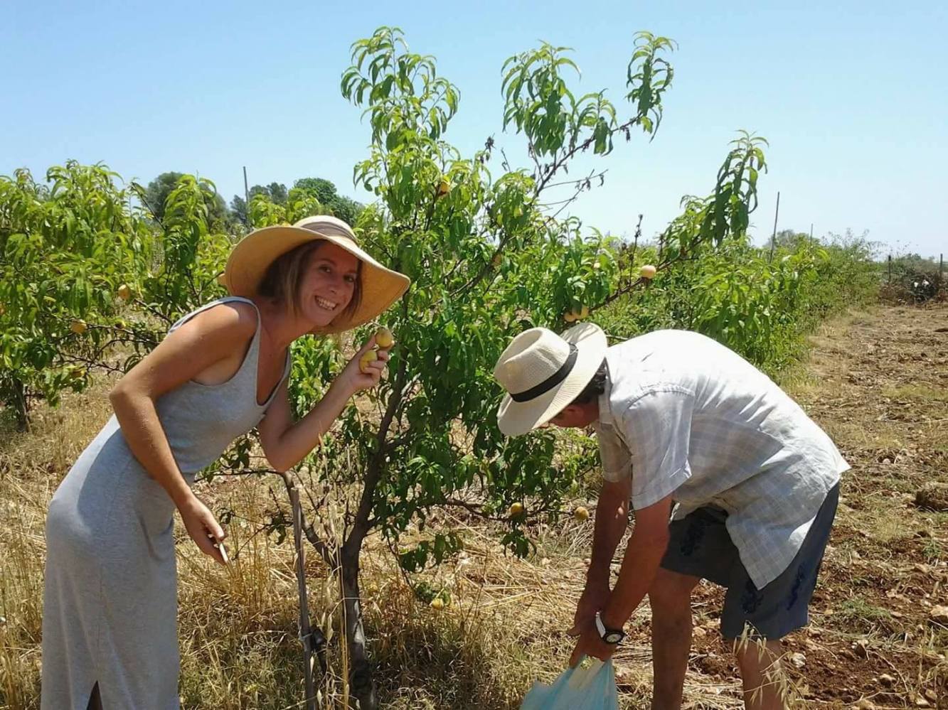 sicily farm to table tour