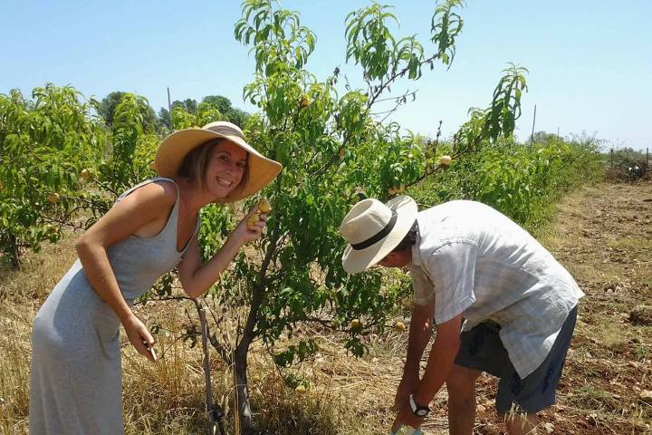 sicily farm to table tour