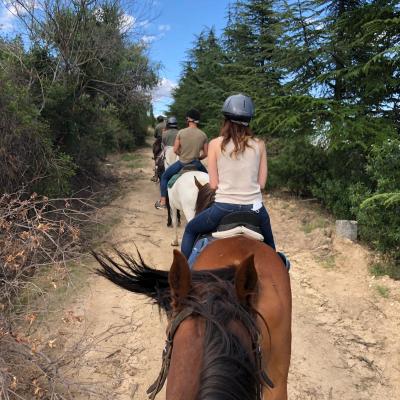 madrid horse riding Tour