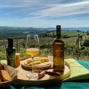picnic vineyard in tuscania