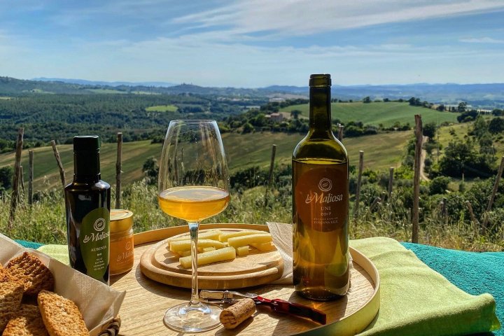 picnic vineyard in tuscania
