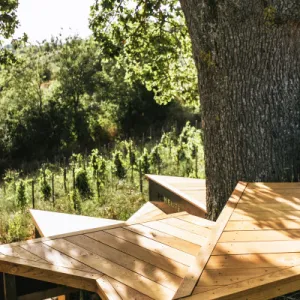 picnic vineyard in tuscania