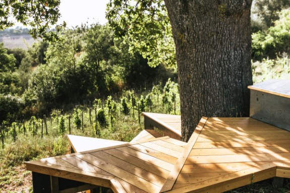 picnic vineyard in tuscania