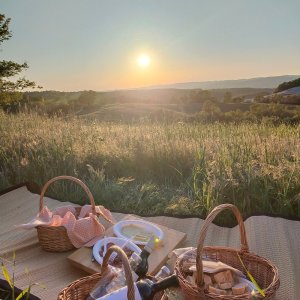 picnic vineyard in tuscania