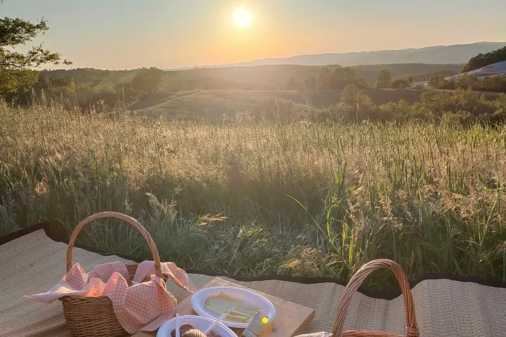 picnic vineyard in tuscania