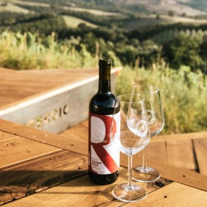 picnic vineyard in tuscania