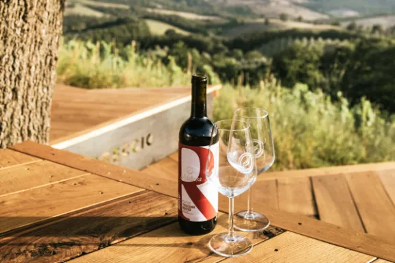 picnic vineyard in tuscania