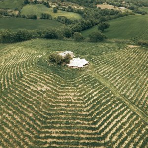 picnic vineyard in tuscania