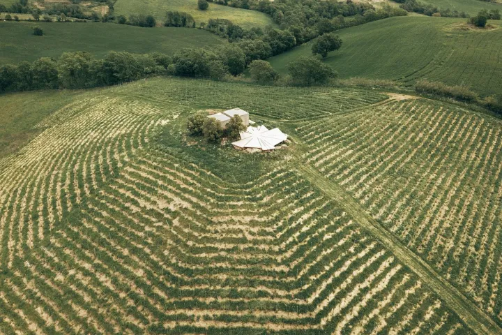 picnic vineyard in tuscania