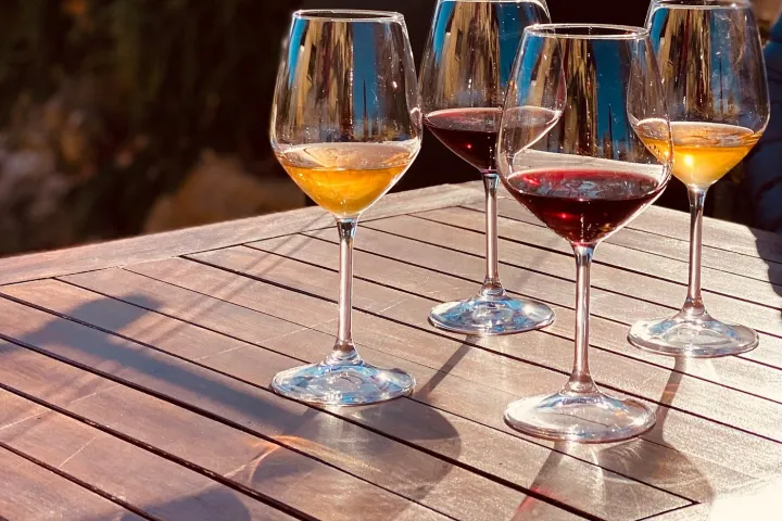 picnic vineyard in tuscania