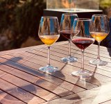 picnic vineyard in tuscania