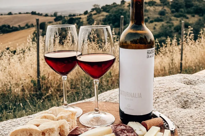 picnic vineyard in tuscania