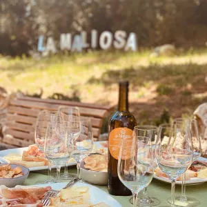 picnic vineyard in tuscania