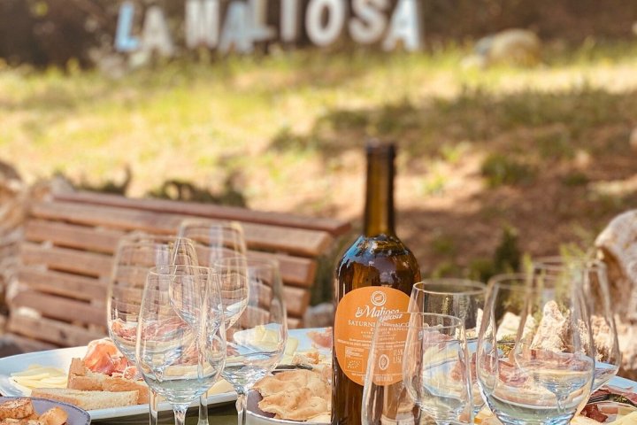 picnic vineyard in tuscania