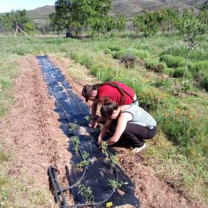 Rioja permaculture Experience