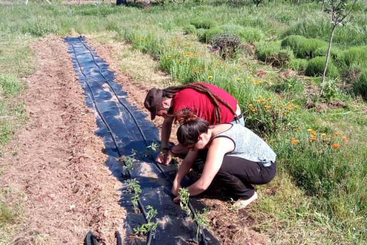 Rioja permaculture Experience