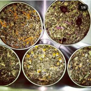 Rioja permaculture Experience