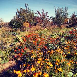 Rioja permaculture Experience