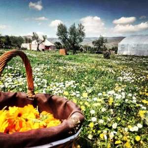 Rioja permaculture Experience