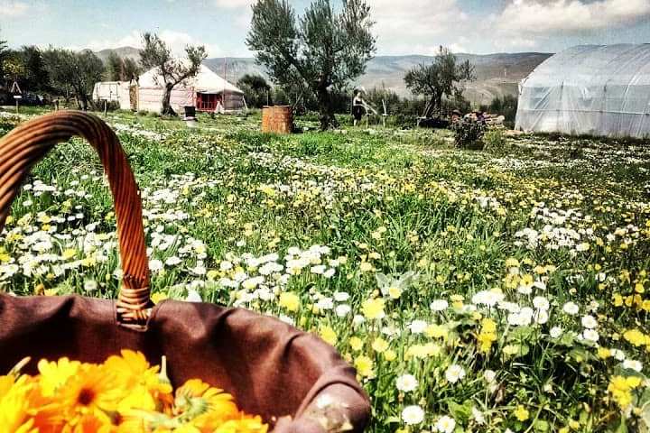 Rioja permaculture Experience