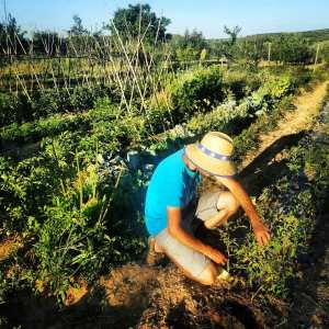 Rioja permaculture Experience