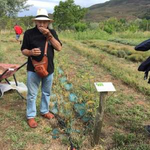 Rioja permaculture Experience