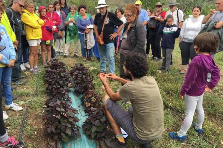 Rioja permaculture Experience