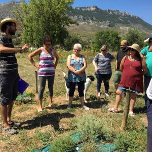 Rioja permaculture Experience