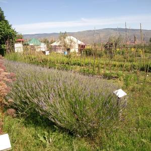 a sign on the side of a lush green field
