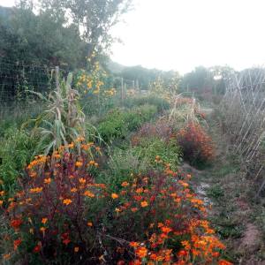 Rioja permaculture Experience