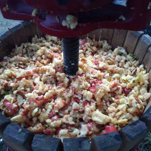 Rioja permaculture Experience