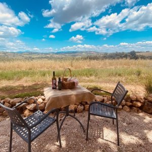 a group of birds sitting on top of a dirt field