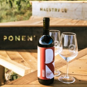 picnic vineyard in tuscania