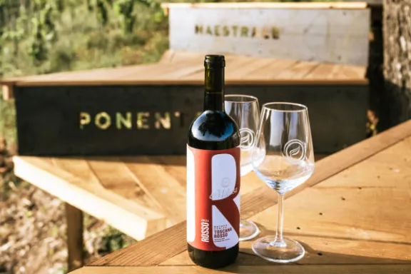 picnic vineyard in tuscania