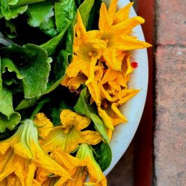Cooking class in Sicily