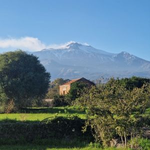 Cooking class in Sicily