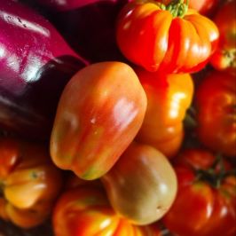 Cooking class in Sicily