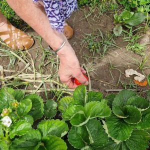 Cooking class in Sicily